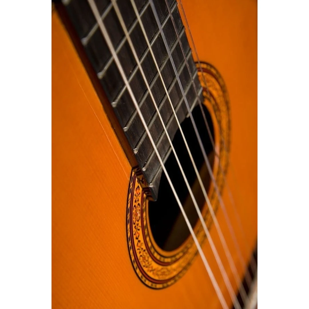 Классическая гитара Washburn C5