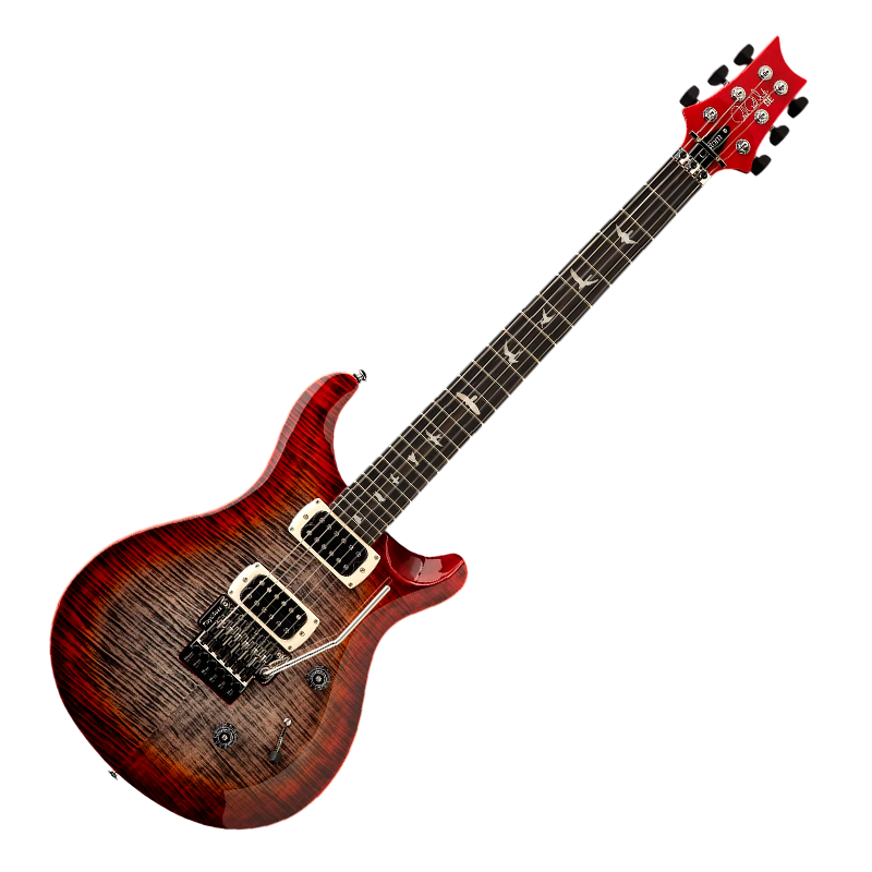 PRS SE Custom 24 Floyd общий вид
