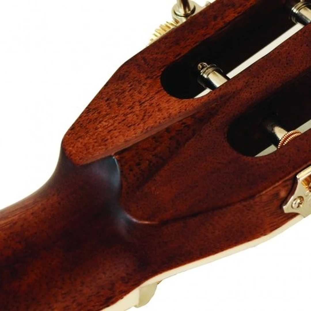 Акустическая гитара Cort L900P PD VS