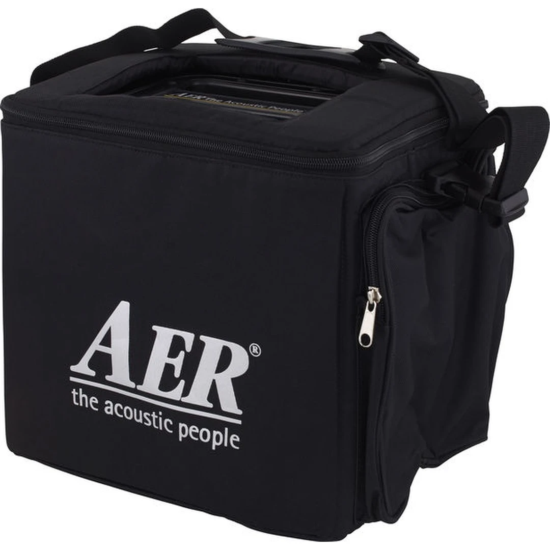 Комбоусилитель AER Alpha