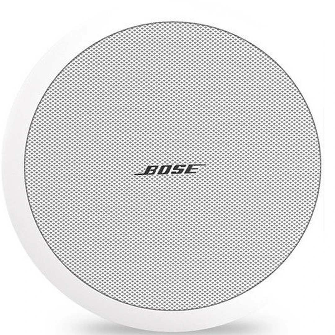 Пассивная акустическая система Bose FreeSpace DS 100F VA (White)