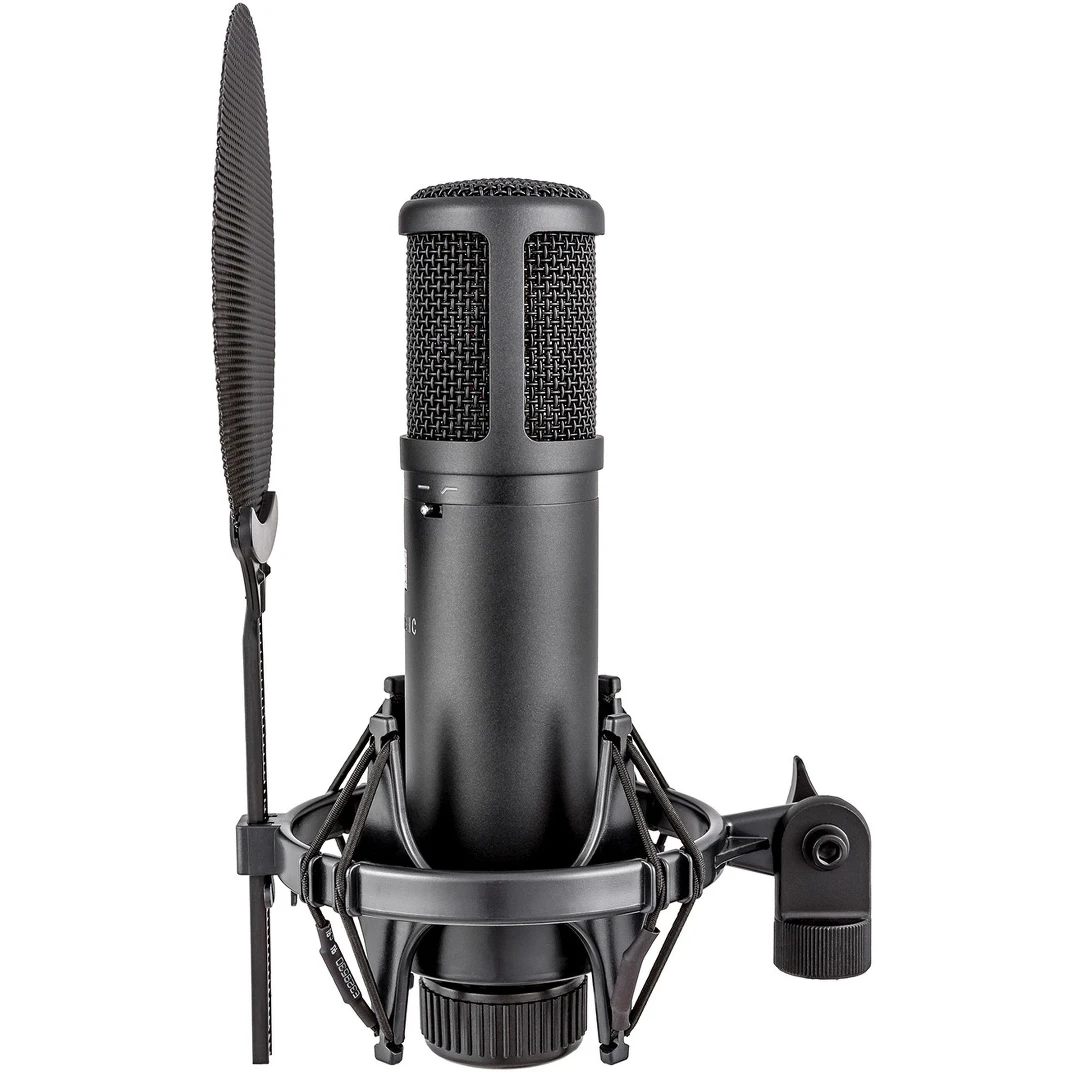 Микрофон sE Electronics sE2200