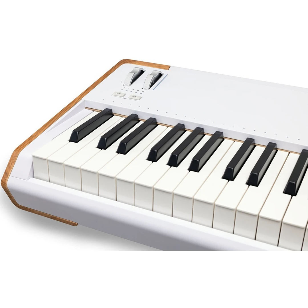 Синтезатор Arturia Astrolab 88