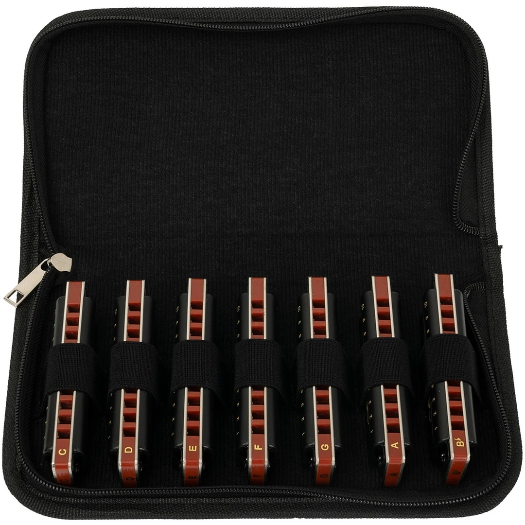 Набор губных гармошек Cascha HH 2224 Professional Blues