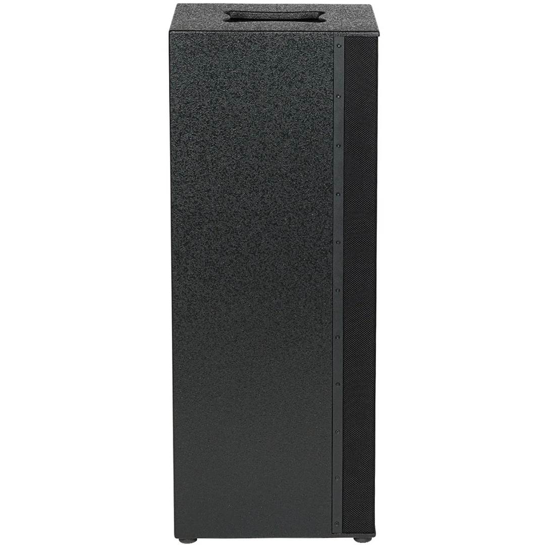 Сабвуфер DS Proaudio PLR SUB
