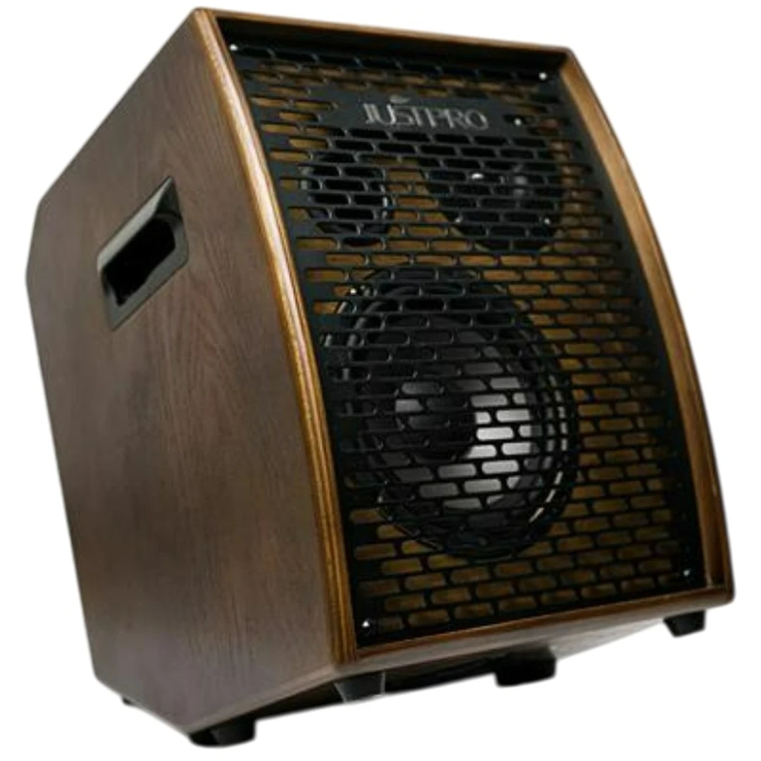 Комбоусилитель Justpro MX-100