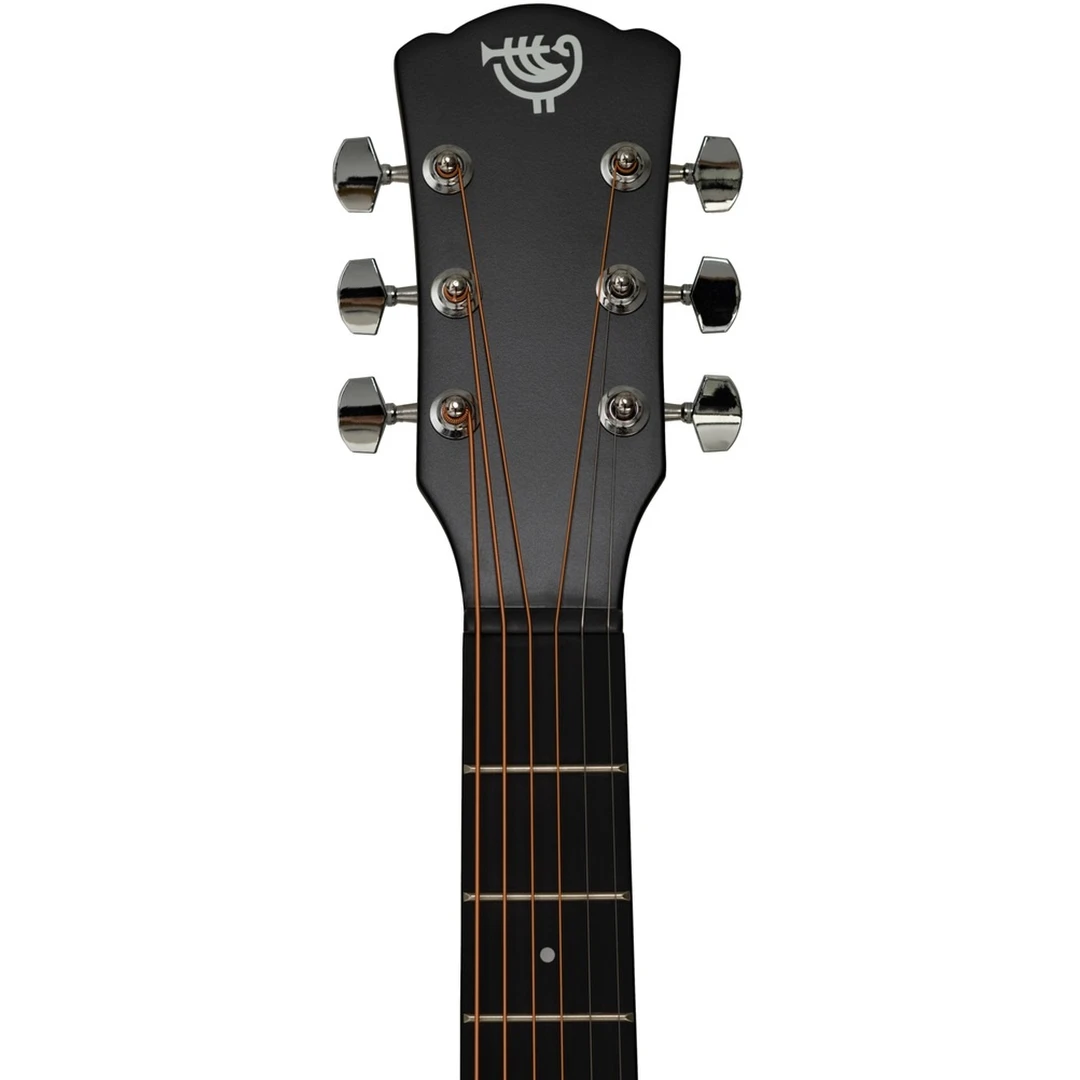 Акустическая гитара Rockdale Aurora D5 BK Satin