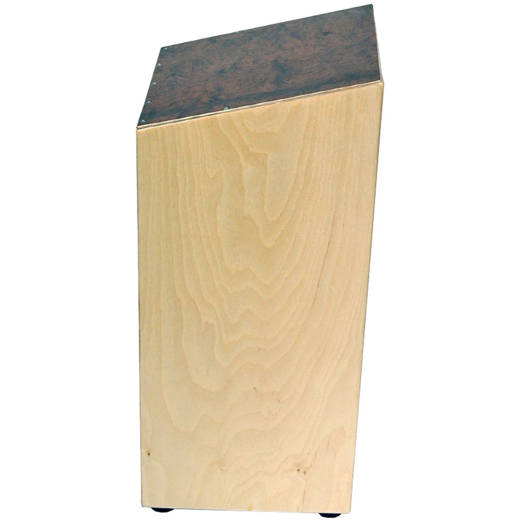 Кахон Мозеръ CPT-1