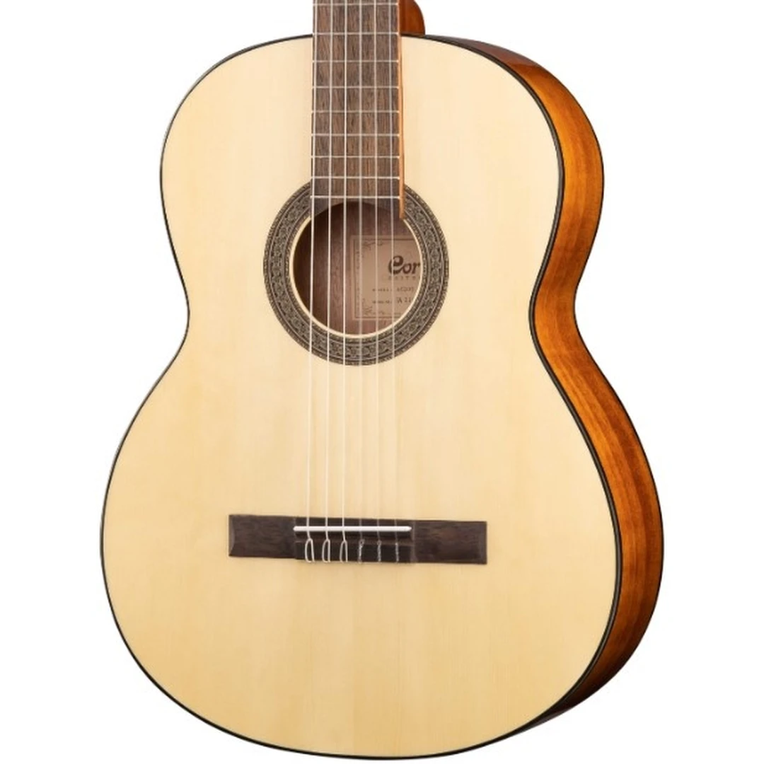 Классическая гитара Cort AC100 WBAG SG