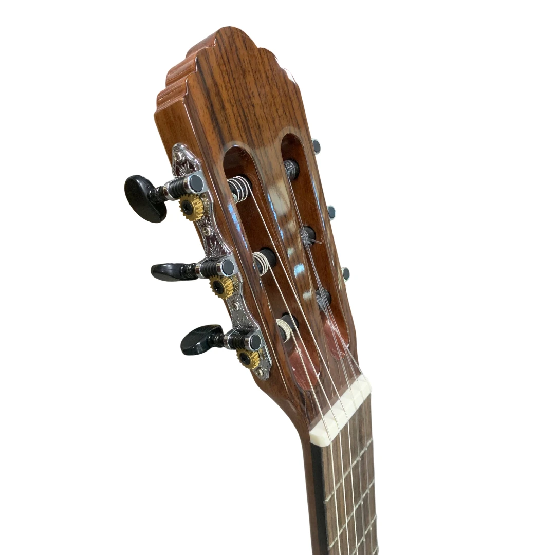 Классическая гитара Charleva CHARV-D4SR