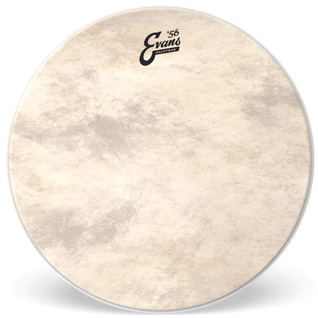 Пластик Evans BD18CT