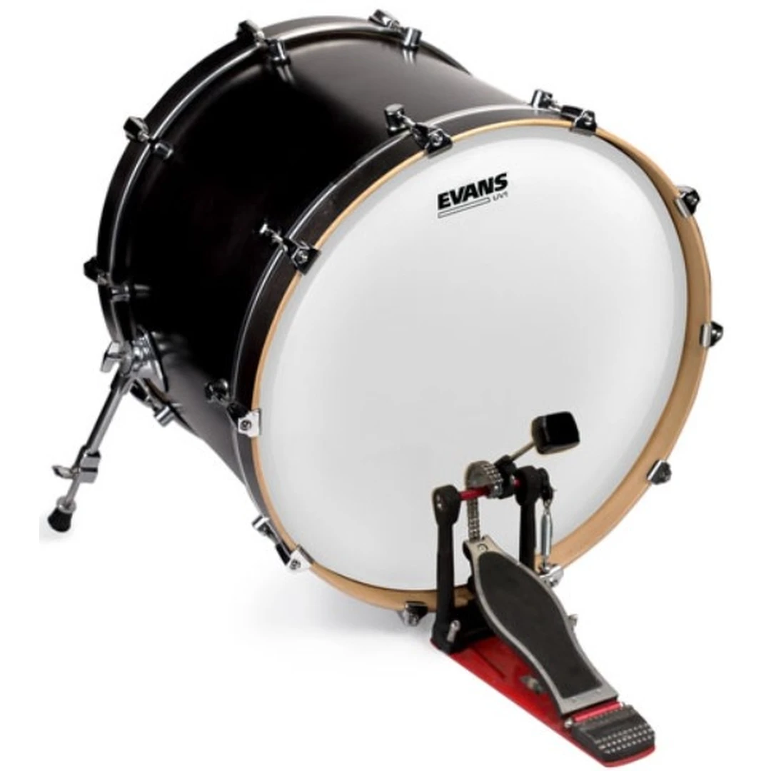 Пластик Evans BD18UV1