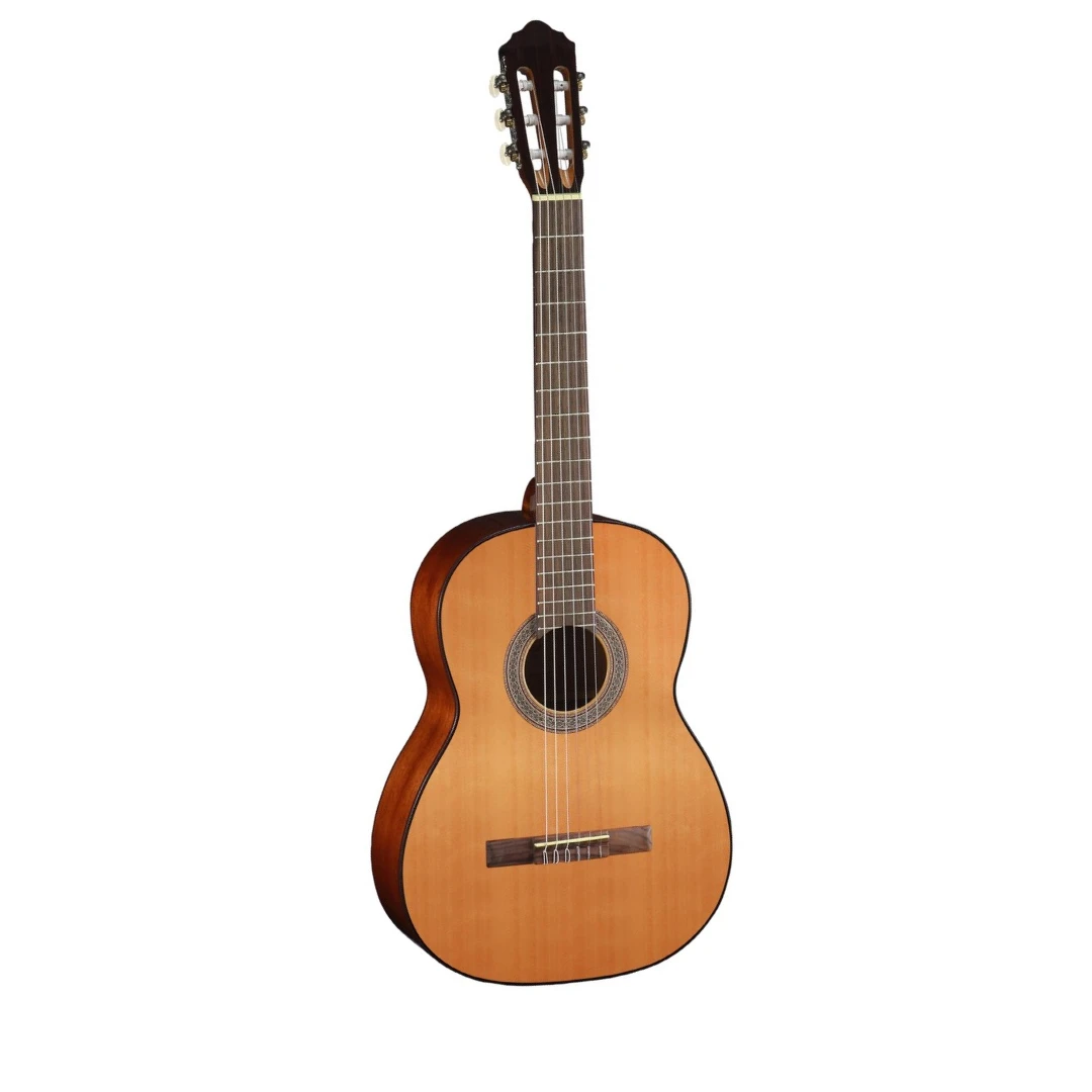 Классическая гитара Cort AC100 SG