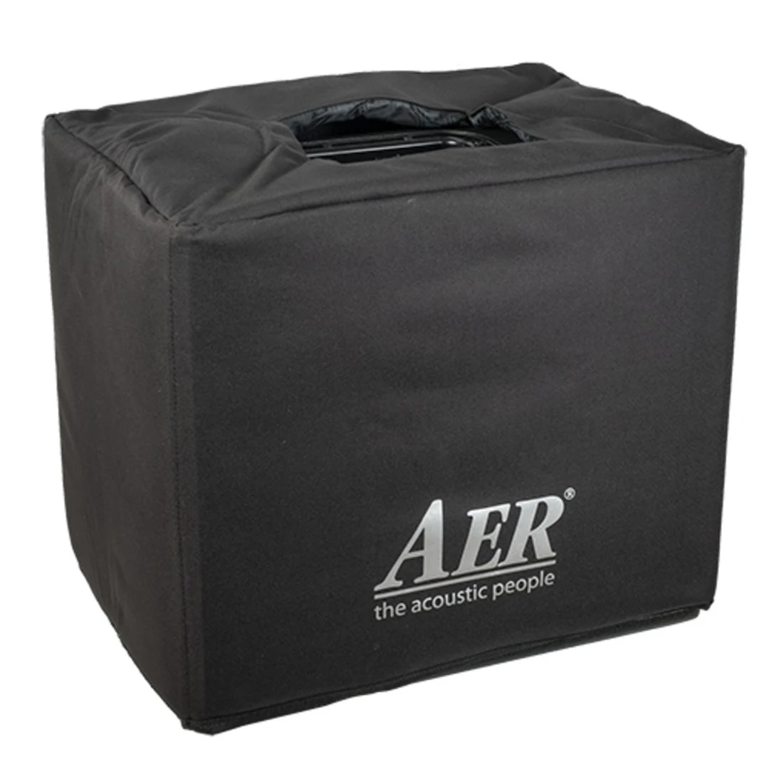 Комбоусилитель AER Domino 2A