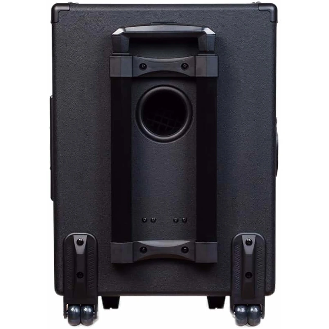 Портативная акустическая система Joyo JPA-863