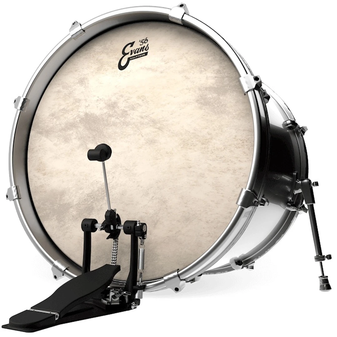Пластик Evans BD16CT