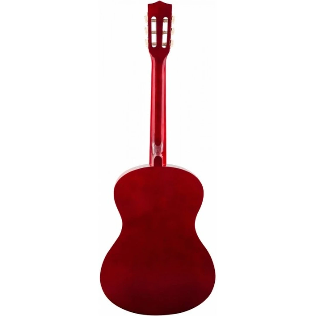 Классическая гитара Terris TC-3805A NA