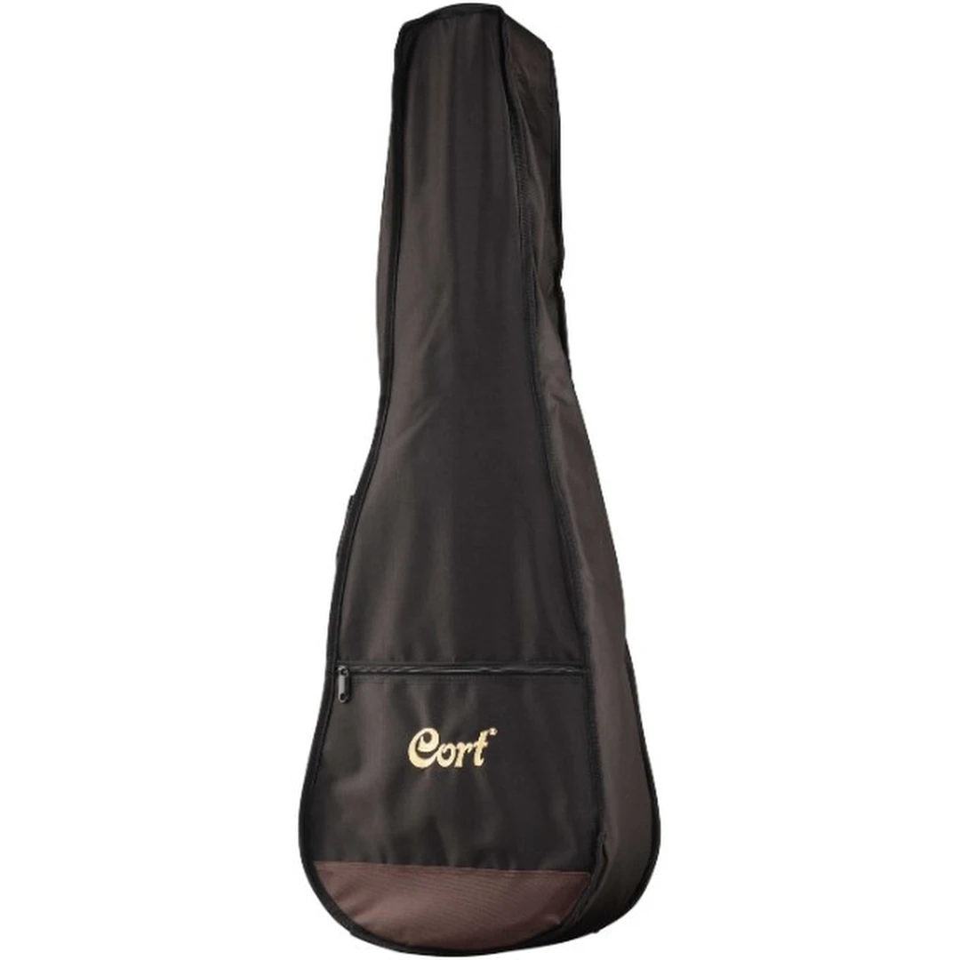 Классическая гитара Cort AC100 WBAG SG