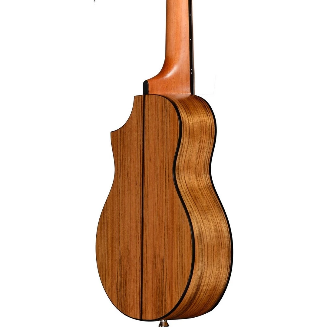 Акустическая гитара Ibanez EWP14WB-OPN