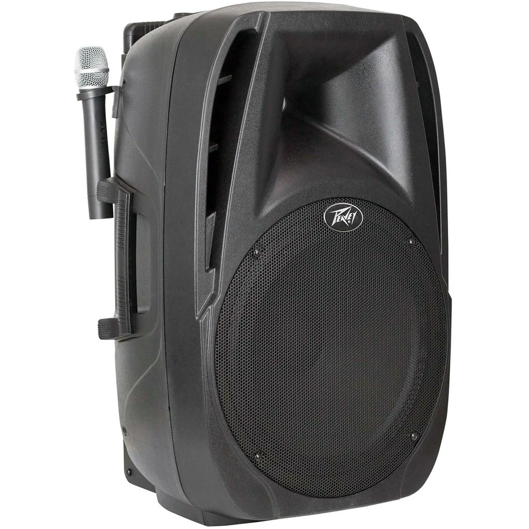 Портативная акустическая система Peavey PBK 12FM