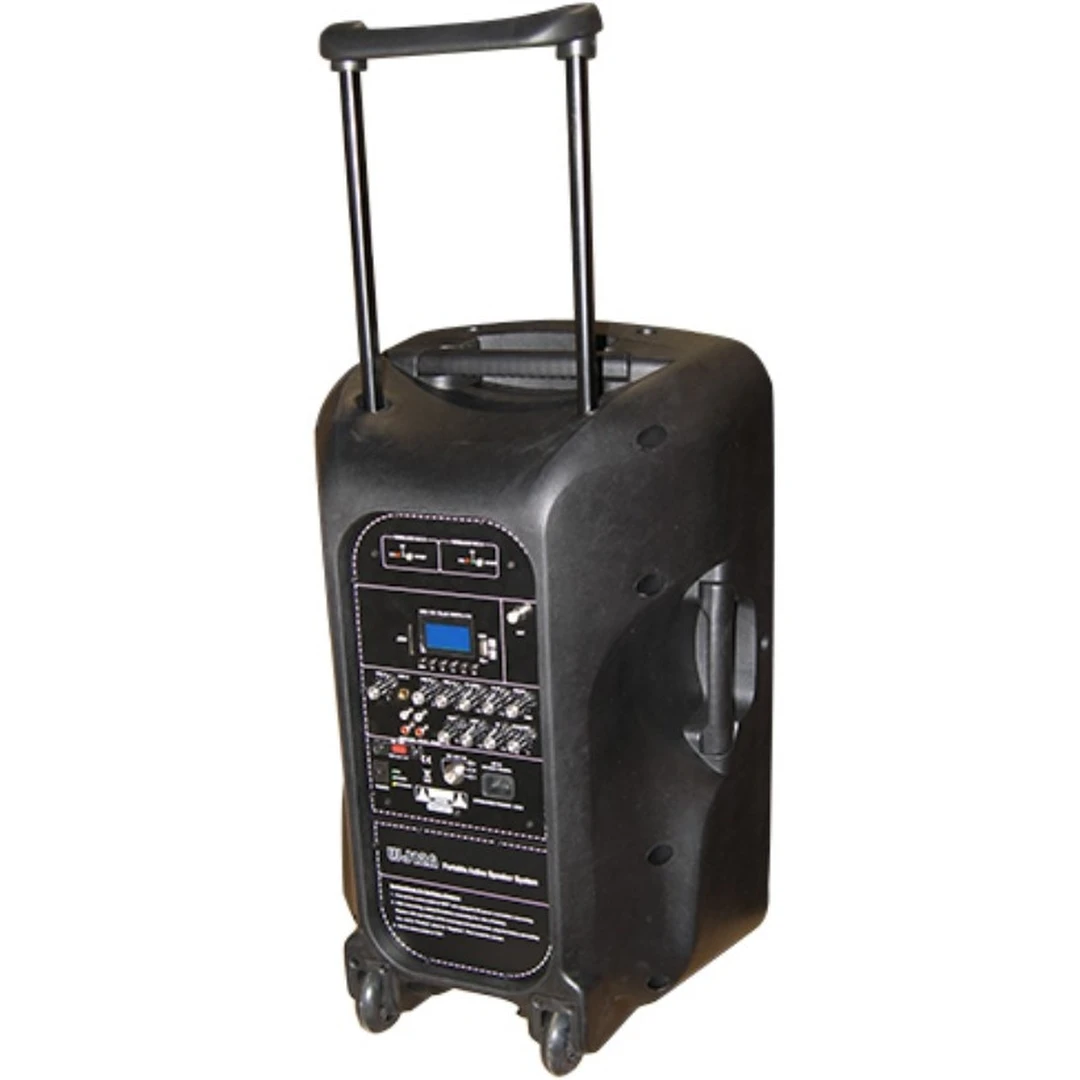 Портативная акустическая система Soundking WJ12A