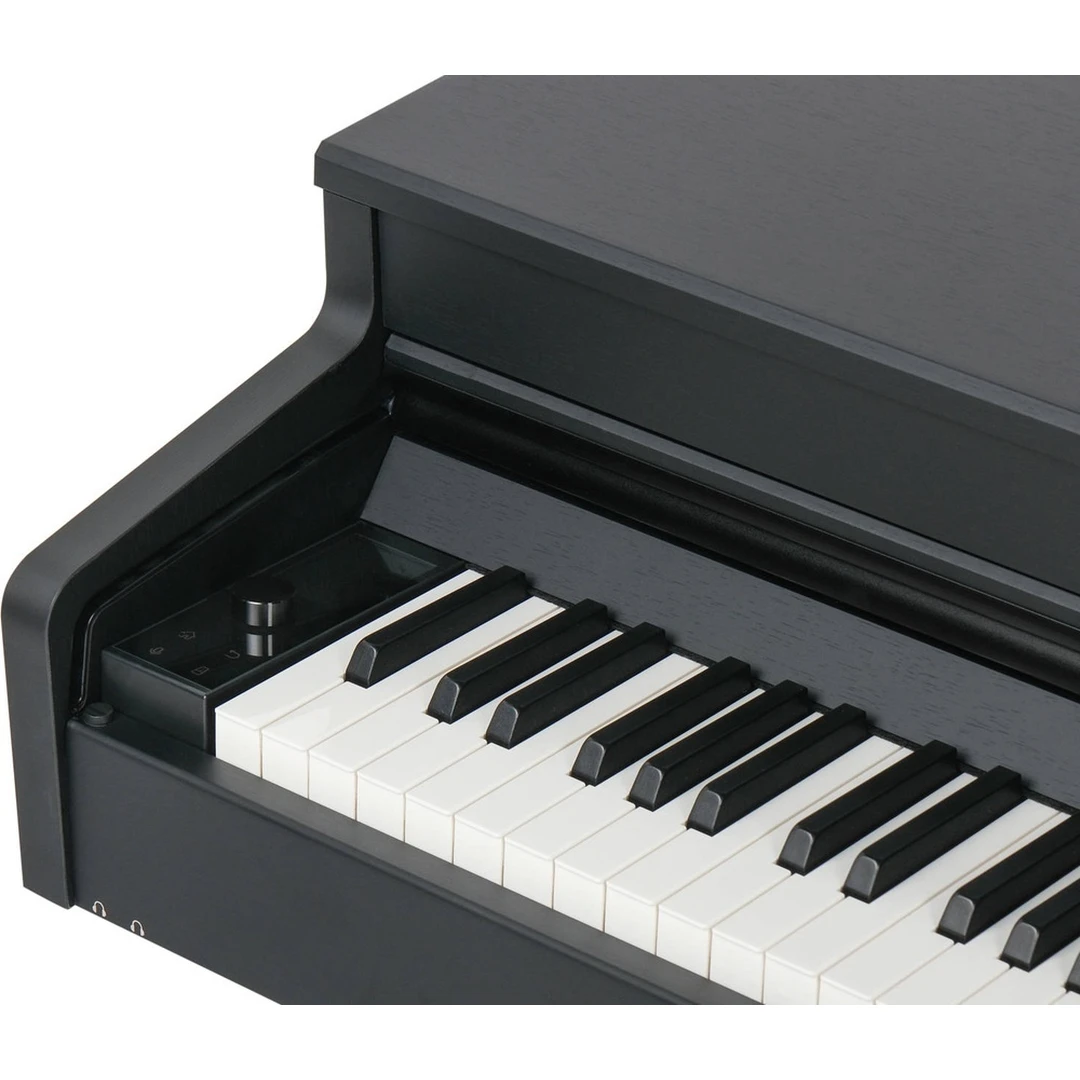 Цифровое пианино Aurora AU110-BK