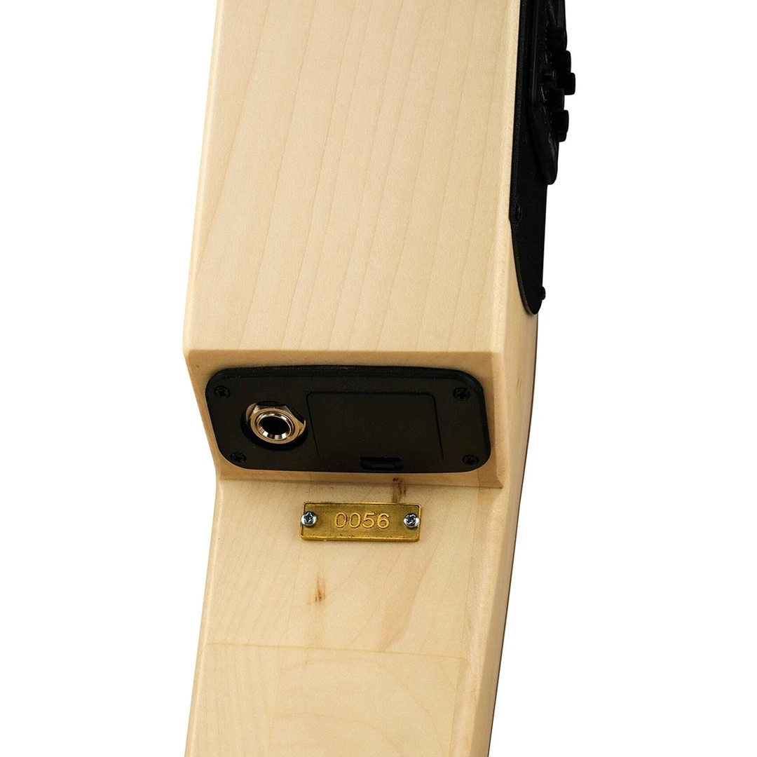 12-струнная электроакустическая гитара MIG Guitars SG2BU23 SG2