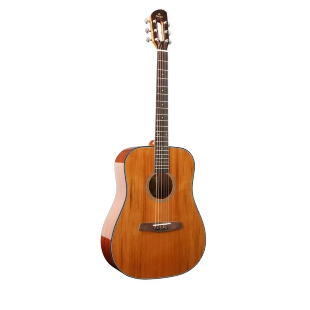 Акустическая гитара Prodipe SD200