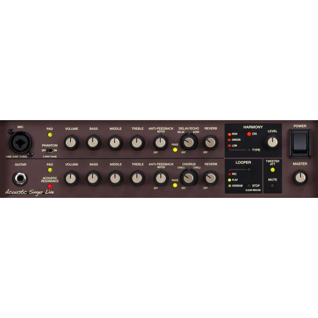 Комбоусилитель Boss ACS-Live