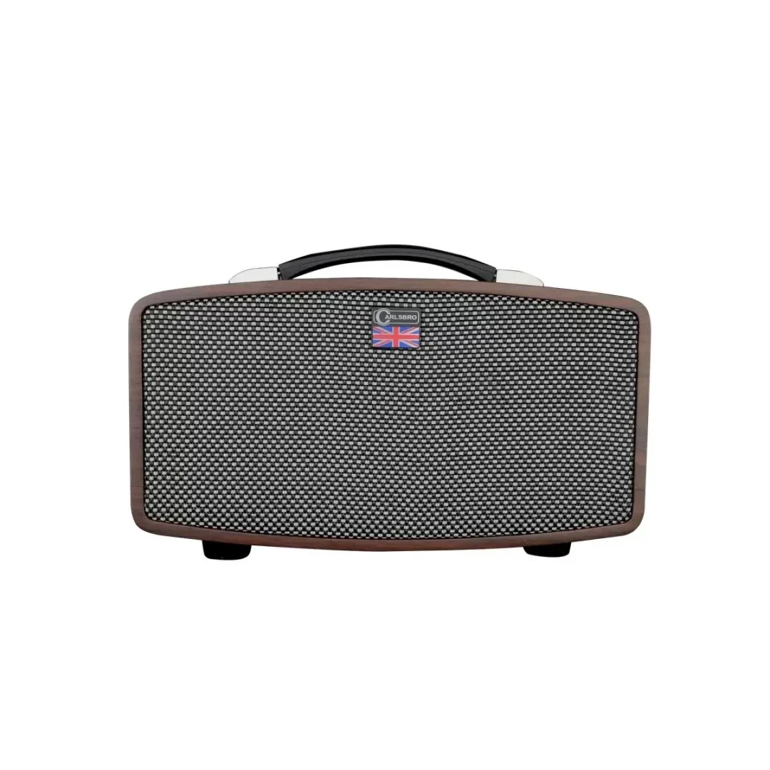 Комбоусилитель Carlsbro Stingray D5