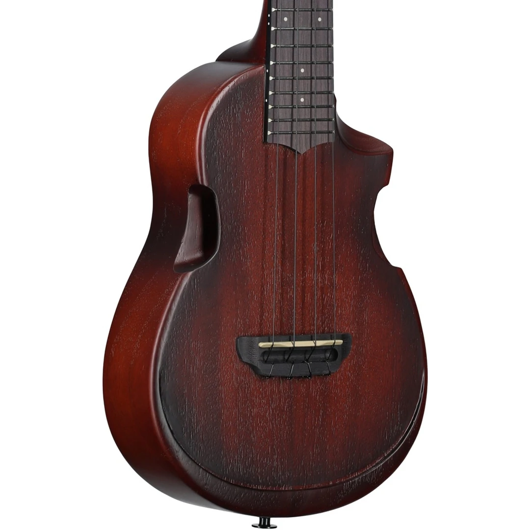 Укулеле Ibanez AUC14-OVL