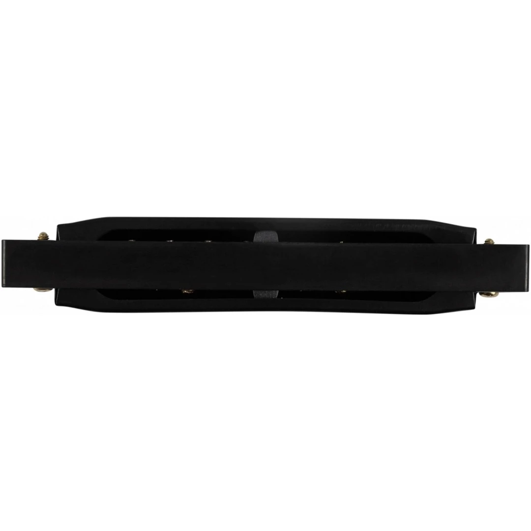 Губная гармошка Bee DF10A-1 Black