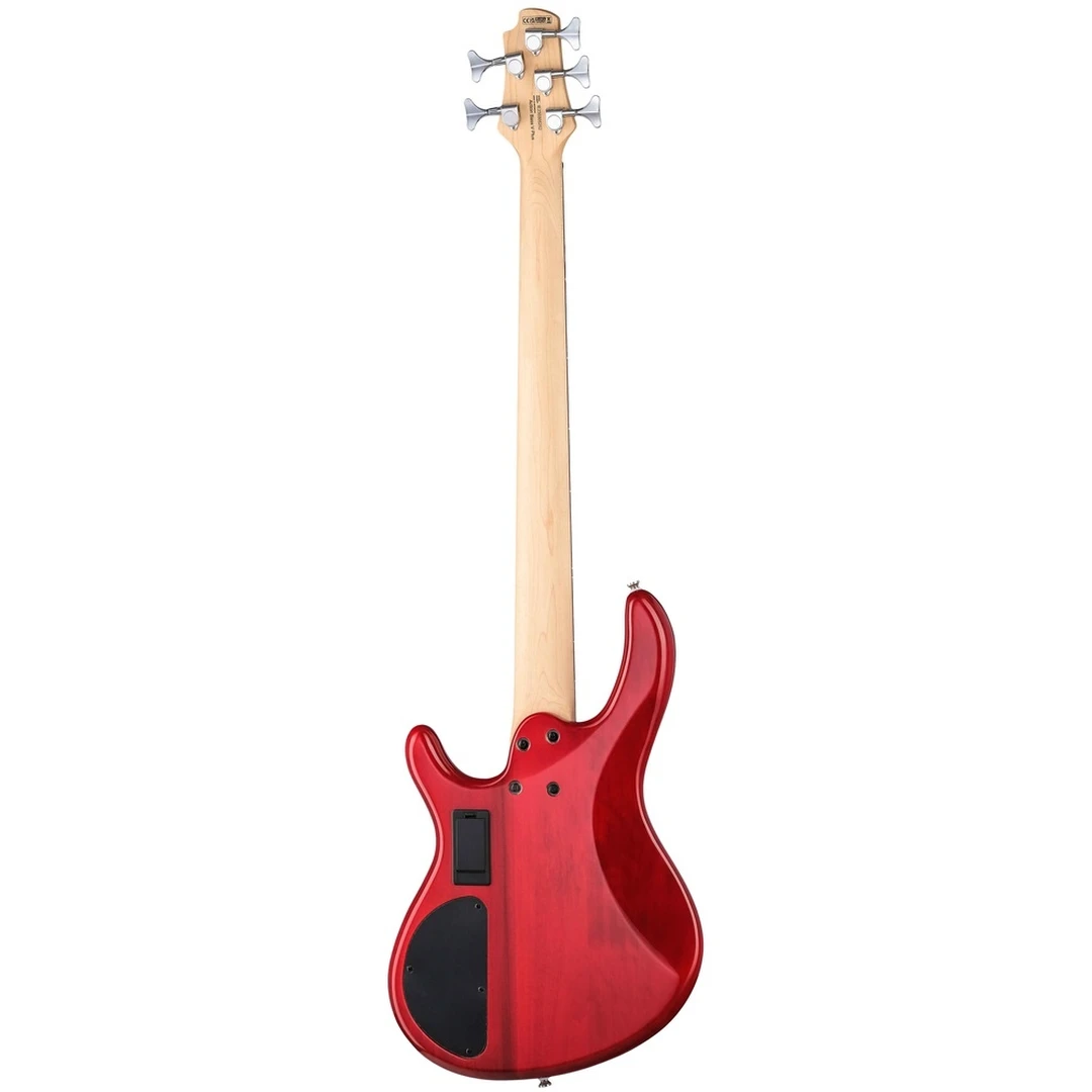 Бас-гитара Cort Action Bass V Plus TR WBAG