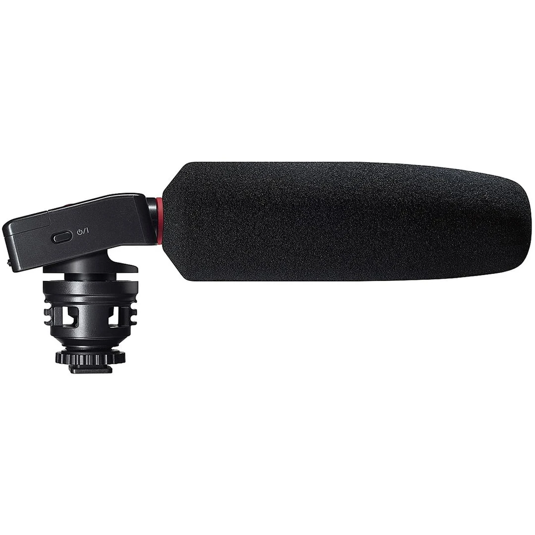 Портативный рекордер Tascam DR-10SG