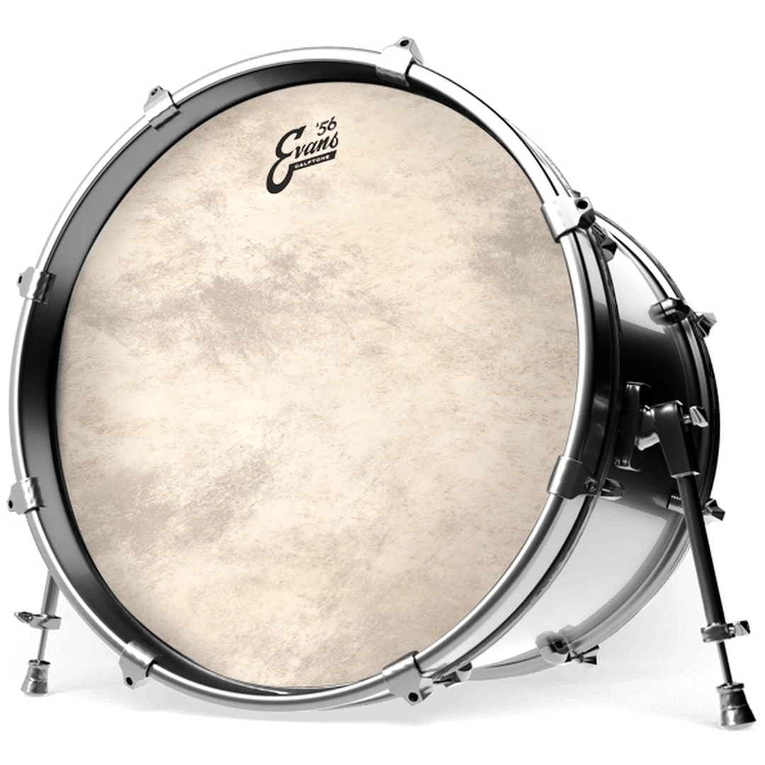 Пластик Evans BD18CT
