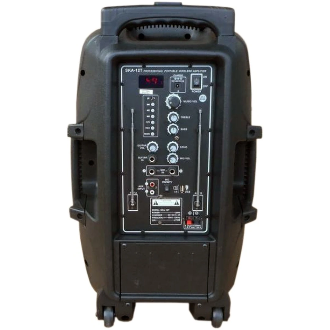 Акустическая система HL Audio SKA12T