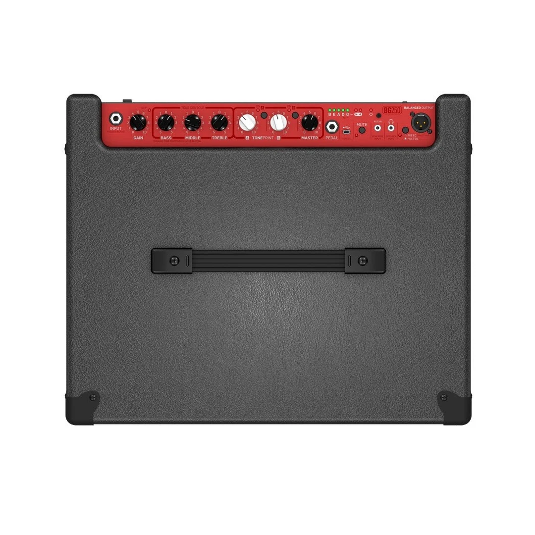 Комбоусилитель басовый TC Electronic BG250-210