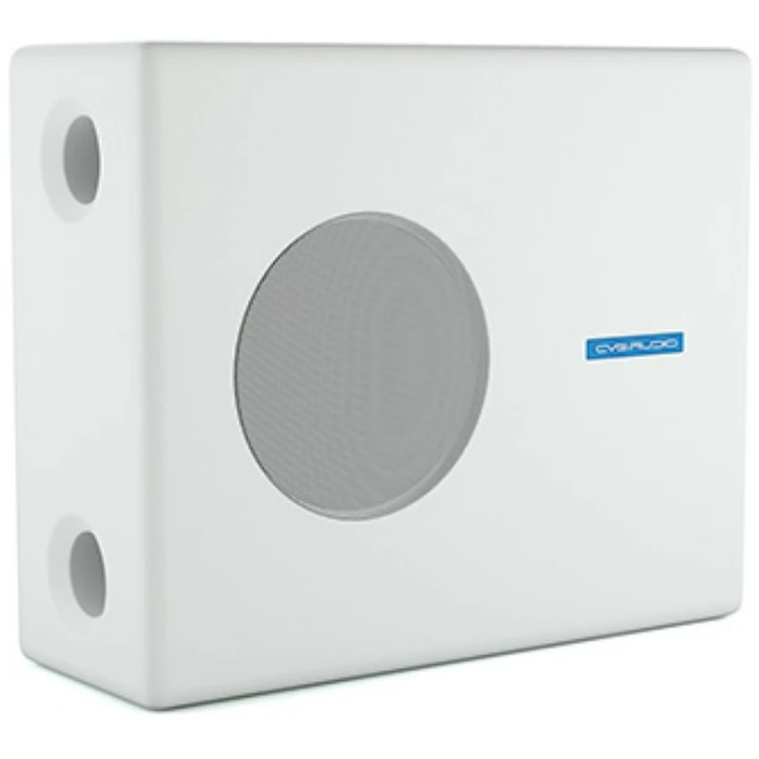 Сабвуфер CVGaudio SUBone B-8W/CR/T-100