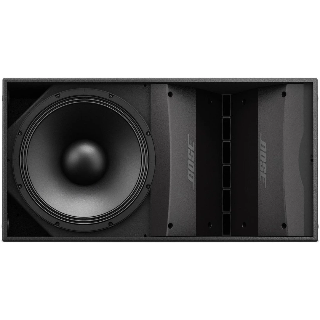 Пассивная акустическая система Bose ArenaMatch AM10/100