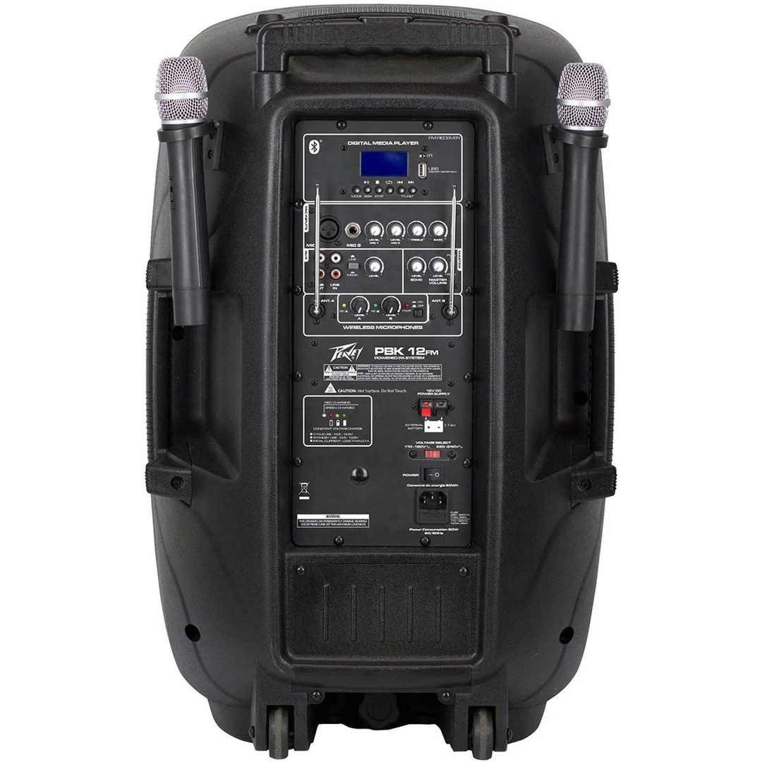 Портативная акустическая система Peavey PBK 12FM