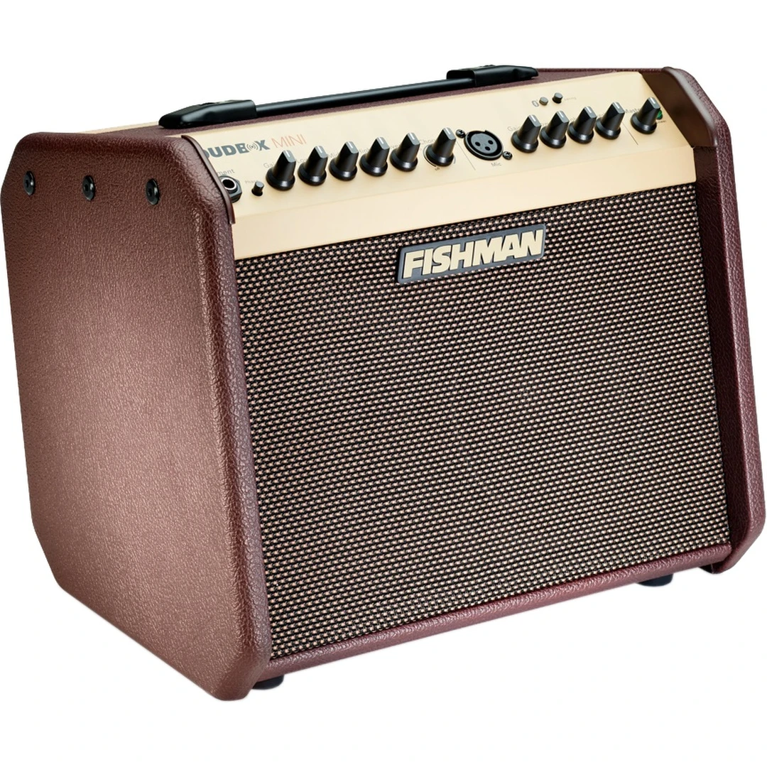 Комбоусилитель Fishman PRO-LBT-EU5 Loudbox Mini