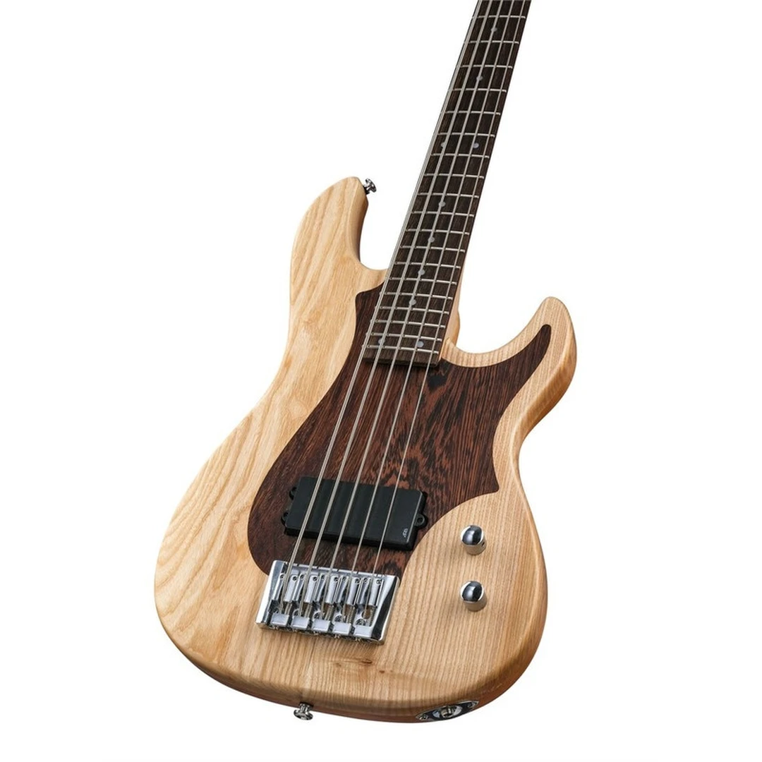 Бас-гитара Inspector Basstion