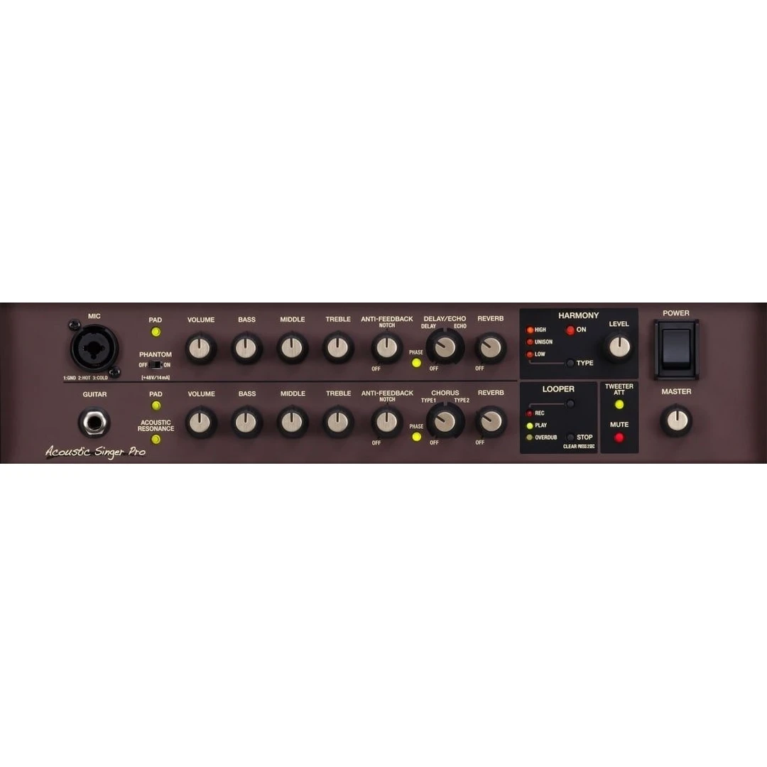 Комбоусилитель Boss ACS-Pro