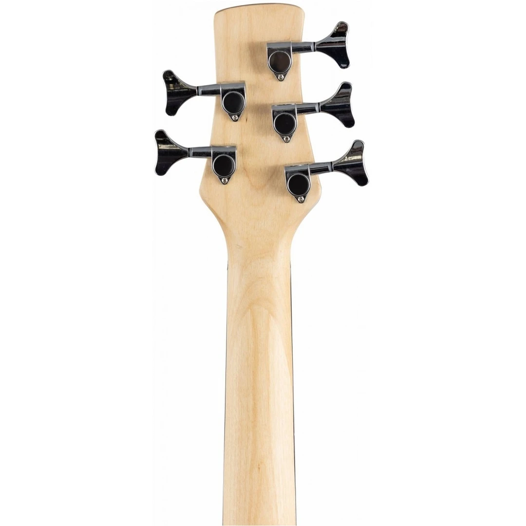 Бас-гитара Terris THB-43-5 BK