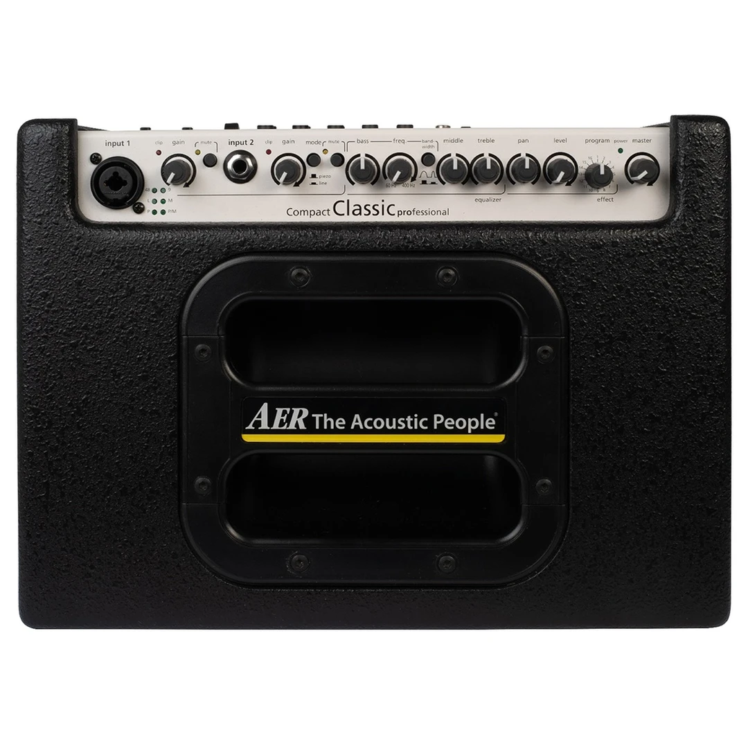 Комбоусилитель AER Compact Classic Pro