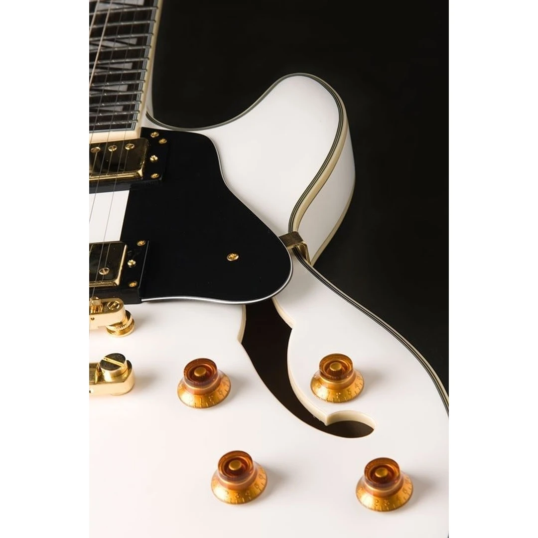 Полуакустическая гитара Washburn HB35WHK