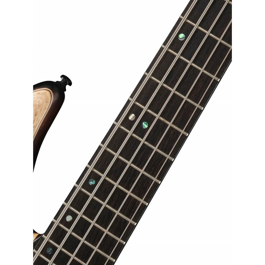 Бас-гитара Cort Artisan A5 Ultra Ash WCASE ENB