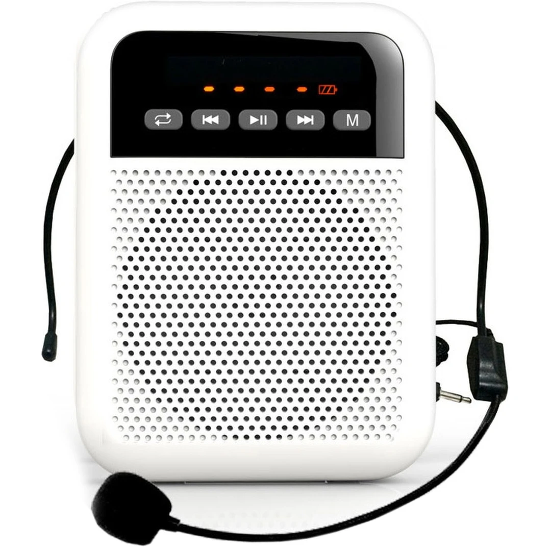 Портативная акустическая система Laudio WS-VA030-Pro