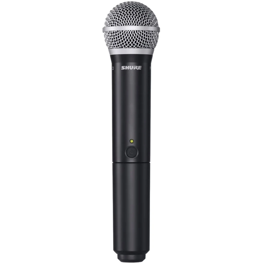 Радиосистема Shure BLX288E/PG58 M17