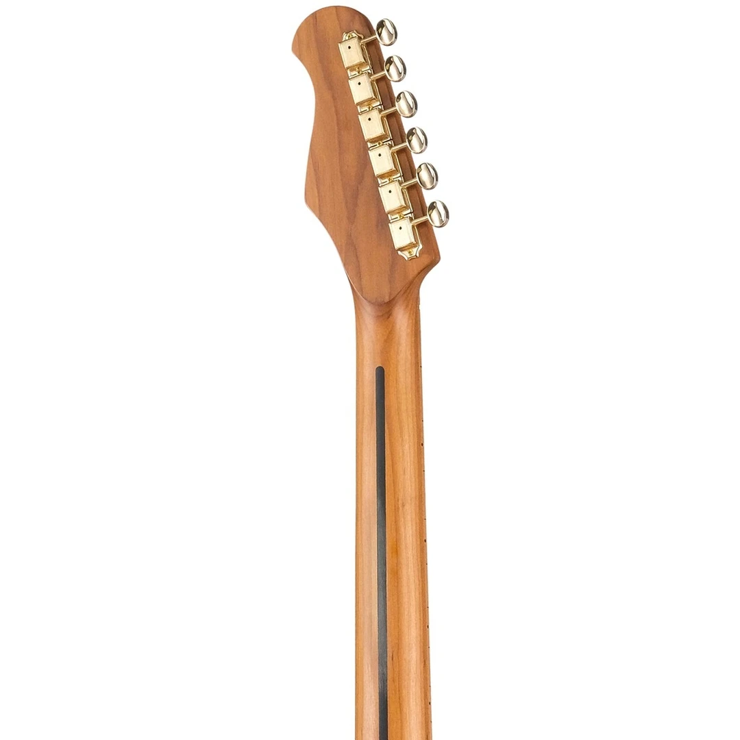 Электрогитара Justpro TCSE-RMA01-BG